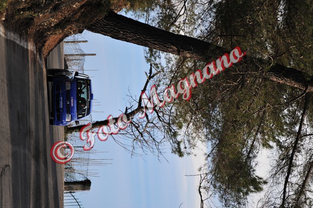 DSC_9829.jpg